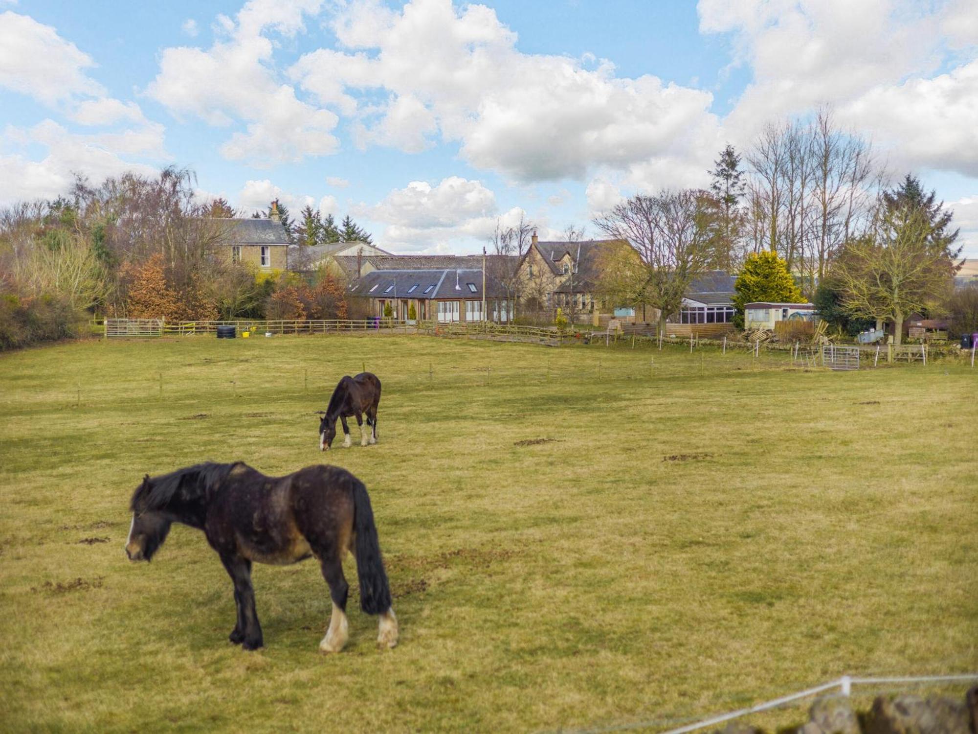 Kirkton of Tealing Appletree Cottage מראה חיצוני תמונה